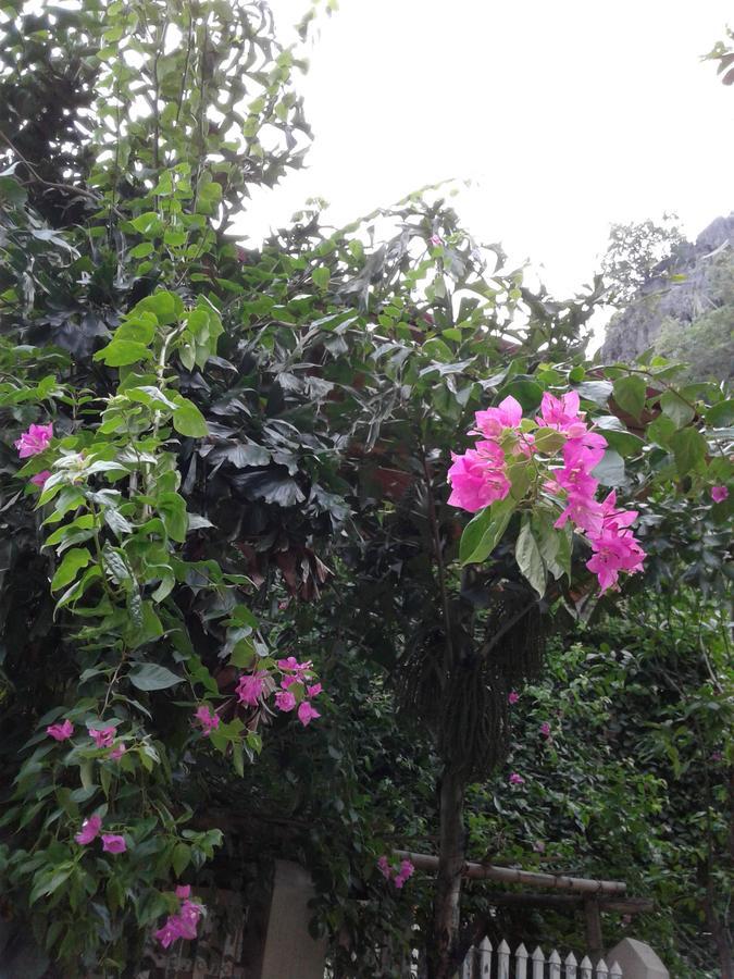 Tam Coc Riverside Homestay Ніньбінь Екстер'єр фото