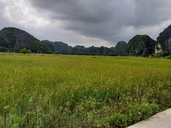 Tam Coc Riverside Homestay Ніньбінь Екстер'єр фото